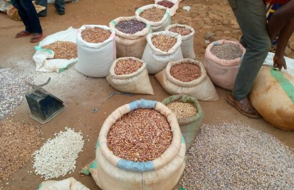 Burundi : Bukirasazi interdit hors commune la vente de haricot, de riz et de maïs / Gitega