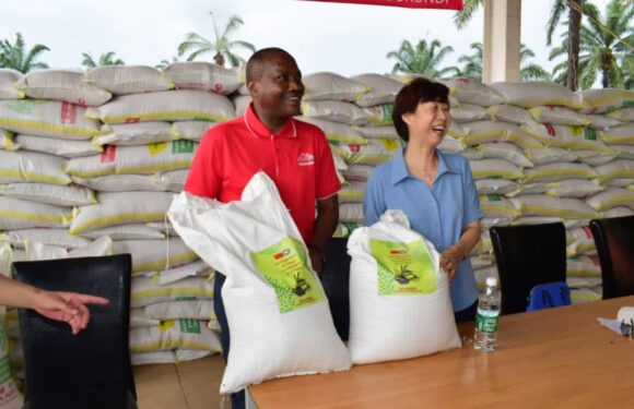 Burundi / Chine : Distribution d’une nouvelle variété de semences de riz à Gihanga, Bubanza
