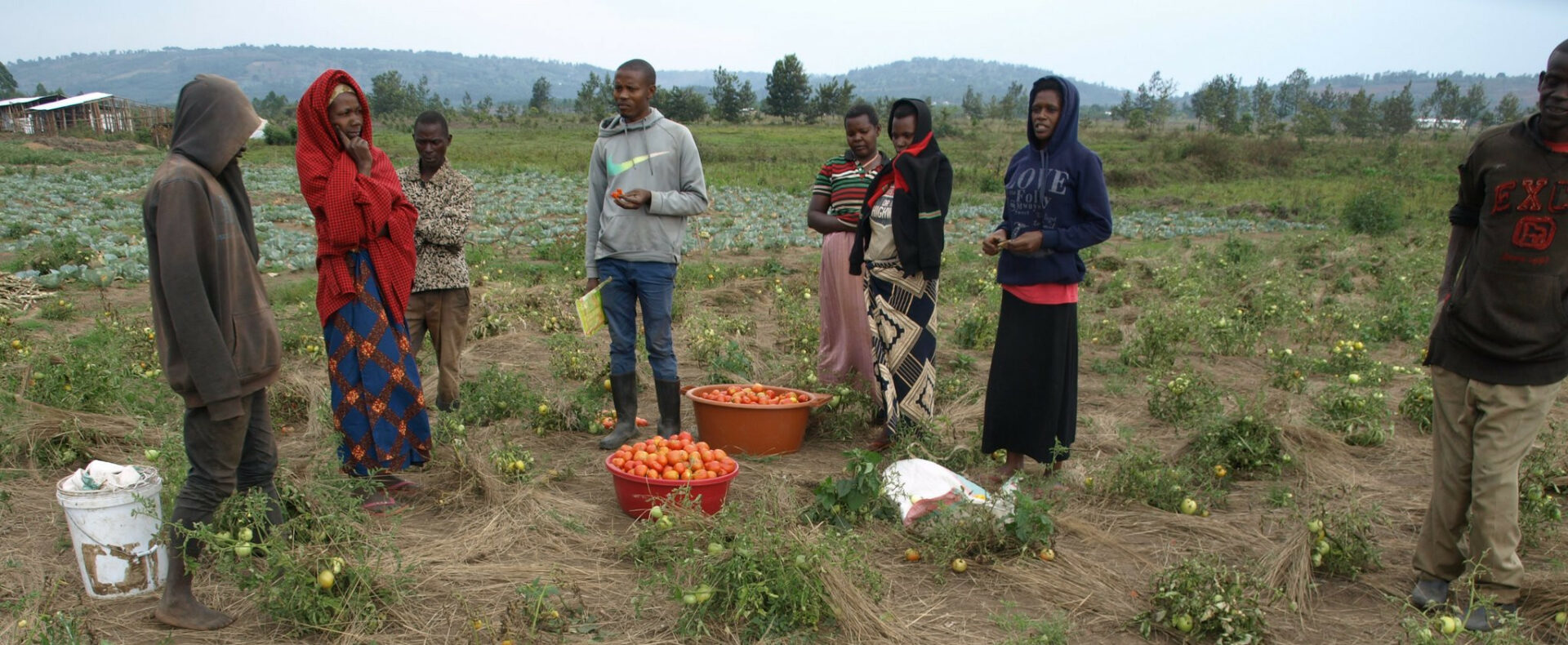 bdi_burundi_cjudi_ngozi_010_27092022_cooperativecjudi