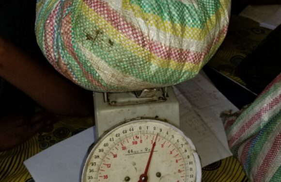 Burundi : Un jeune dealer de drogue arrêté avec 1,25 kg de chanvre à Kamenge / Bujumbura