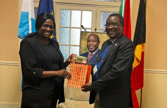 Burundi  : Amb. Ntahiraja Thérence reçoit Mme Libertas Ezako Ndadaye, CCI France-Belgique