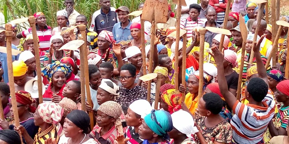 Burundi : Visite de la coopérative  -Twunge ubumwe mu burimyi bw’imboga- à Isare / Bujumbura