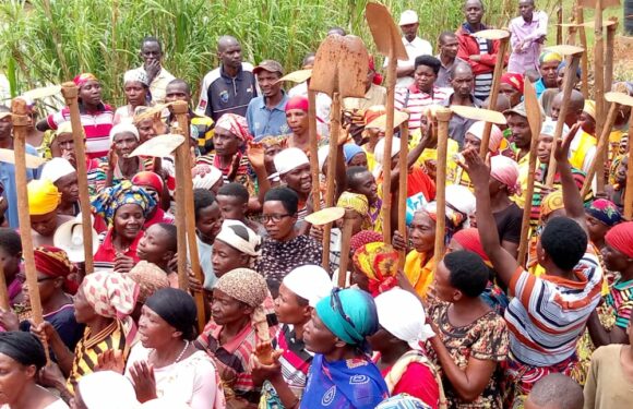 Burundi : Visite de la coopérative  -Twunge ubumwe mu burimyi bw’imboga- à Isare / Bujumbura
