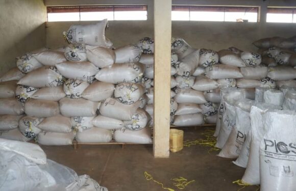 Burundi : L’ ANAGESSA vend 46 tonnes de maïs en commune Rutana