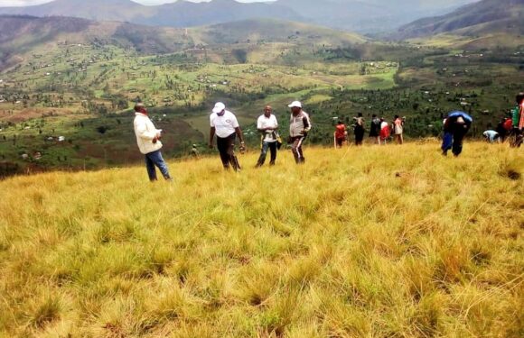 Burundi : TDC – 3000 plants d’arbres d’eucalyptus plantés à Rutovu / Bururi