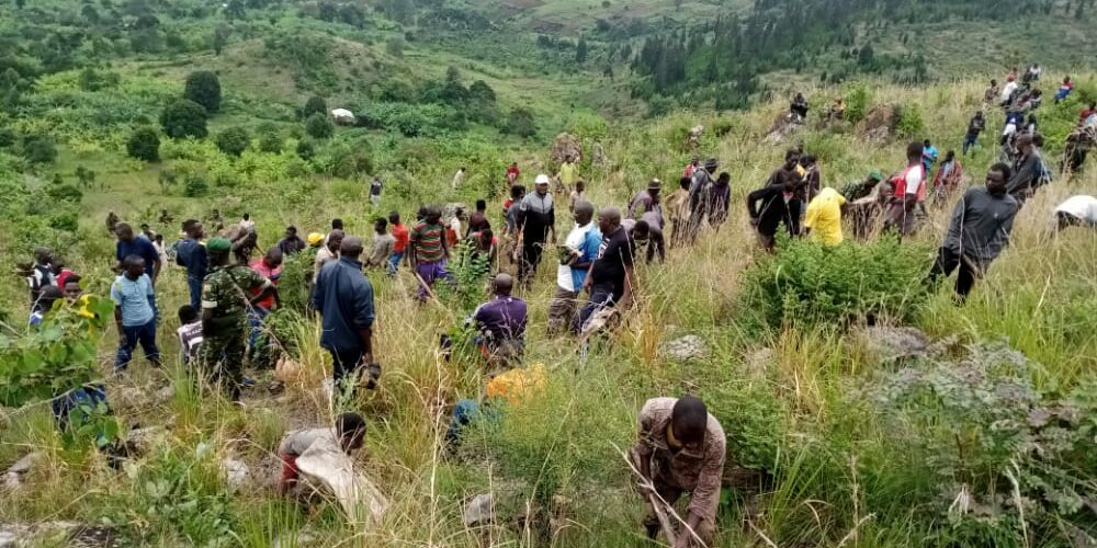 Burundi : TDC – Planter des arbres sur la colline Nganji partiellement dégarni / Ruyigi