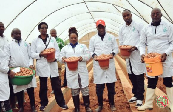Karusi: le 1er Ministre apporte un soutien à un multiplicateur des semences