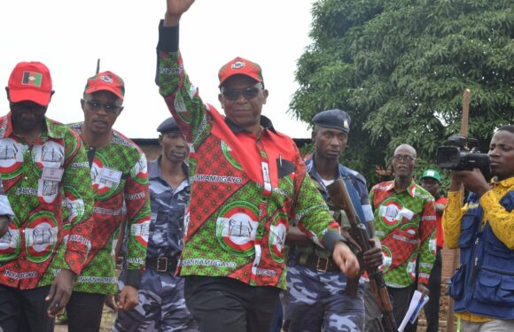 Burundi : Le CNL fête ses 4 ans à Bujumbura