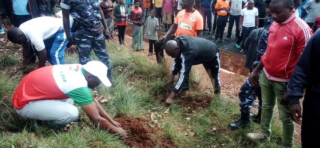 Burundi : TDC – Le SG du CNDD-FDD reboise des eucalyptus le long de la RN16 / Bururi