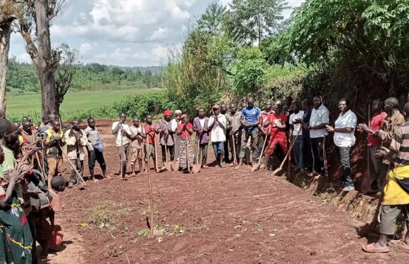Burundi / TDC : Réhabilitation de la RP311 à Marangara, Ngozi, Butanyerera