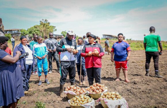 Burundi : Le Premier Ministre récolte des pommes de terre à Kayanza