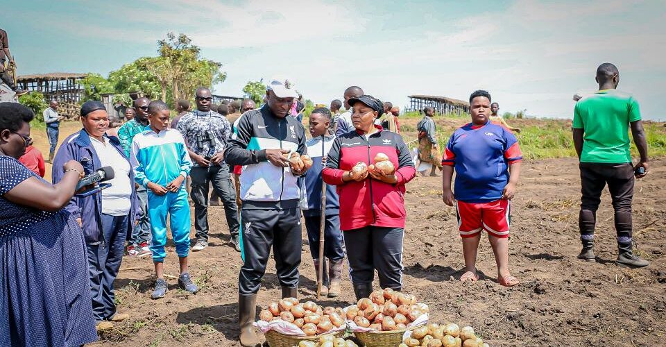 Burundi : Le Premier Ministre récolte des pommes de terre à Kayanza