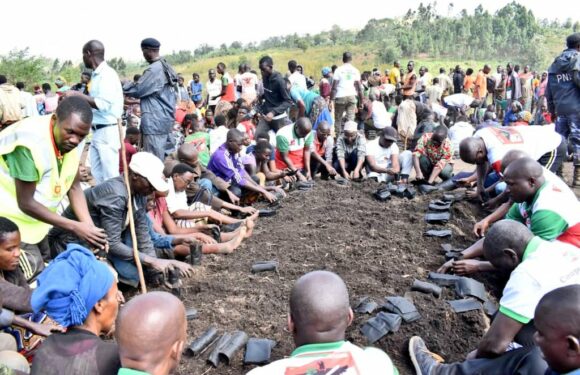 Burundi : Cankuzo en action pour la reforestation avec le CNDD-FDD