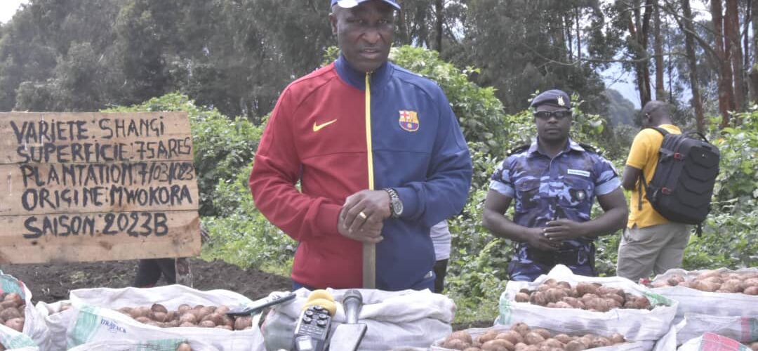 Burundi : Le 1er Ministre Ndirakobuca à la cueillette des pommes de terre à Cibitoke