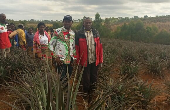 Burundi : Misigaro Egide, une fièrté agricole à Matana