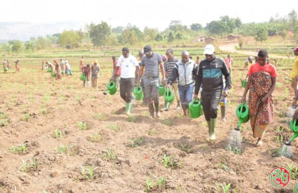 Le Ministère en charge de l’agriculture supervise les travaux d’irrigation dans trois provinces