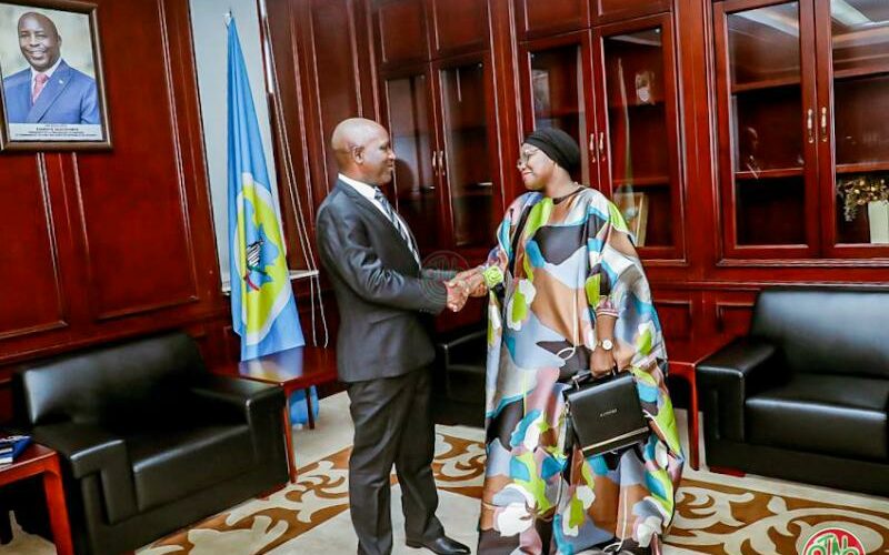 Le Premier ministre reçoit une délégation du FMI en mission de travail au Burundi