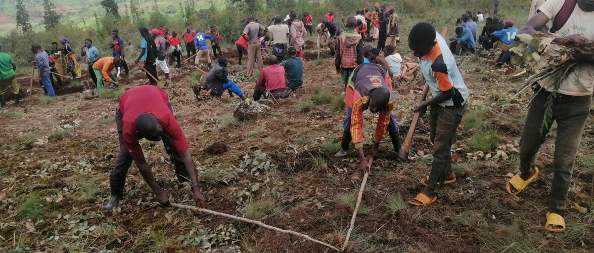 Burundi : Le CNDD-FDD Shombo prépare un champ pour le café à Karusi