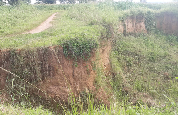 Région Ouest Cibitoke/Rugombo : Difficile d’accéder à la frontière avec la RD Congo