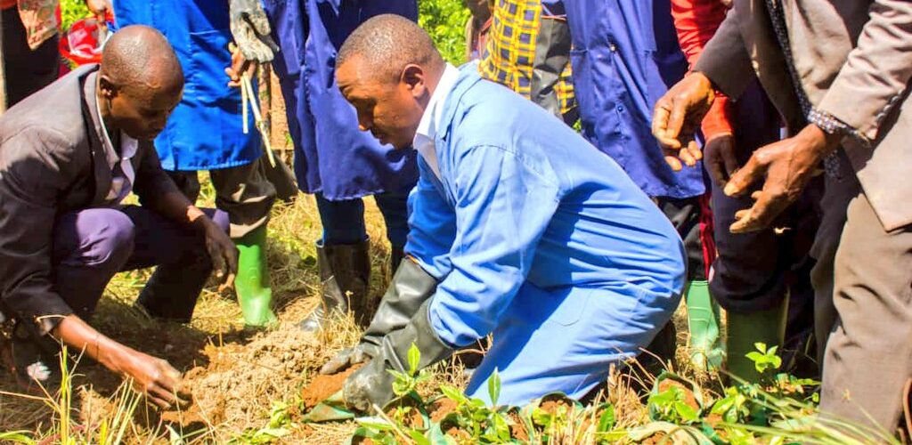 Burundi : Lancement de la campagne de plantation de caféiers à Rutana