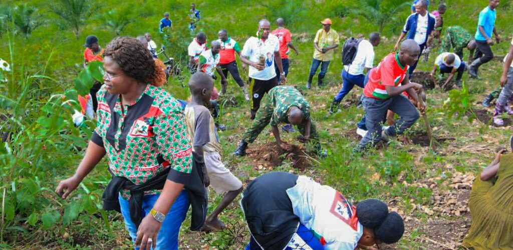 Burundi : Le CNDD-FDD impulse la redynamisation caféicole à Bujumbura
