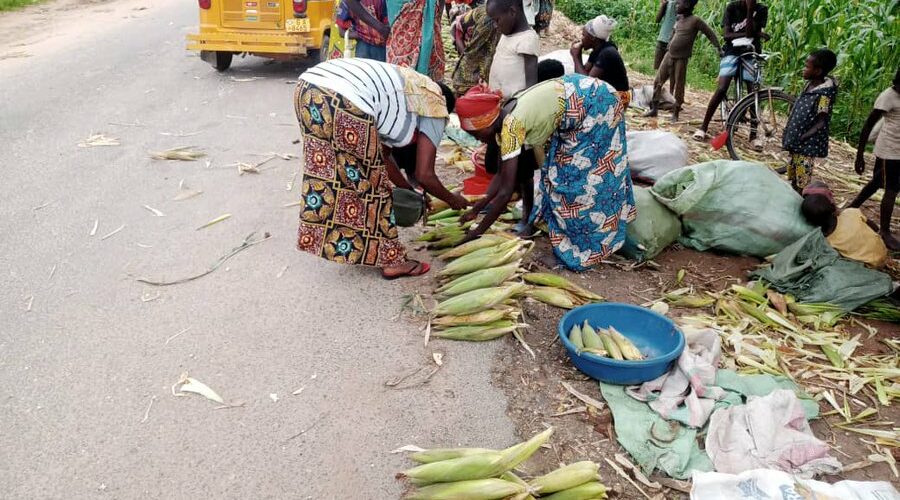 Burundi : Bubanza s’épanouit dans un commerce de maïs florissant