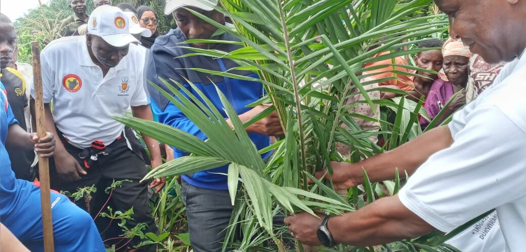 Burundi : Lancement de la replantation des palmiers à huile à Rumonge