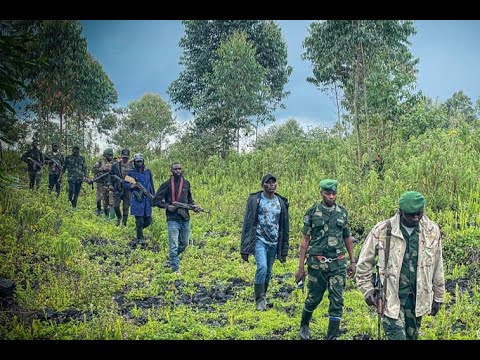 Burundi / RDC : FARDC triomphe sur RDF/UPDF au Masisi, front Rutshuru ouvert.