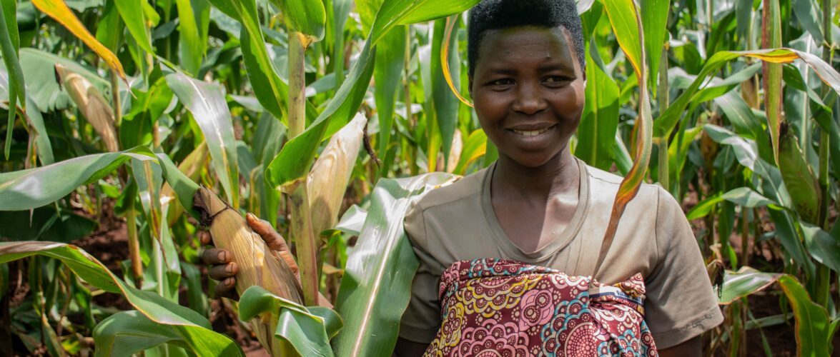 Burundi : L’ONGe One Acre Fund stimule l’agriculture à Mwaro.