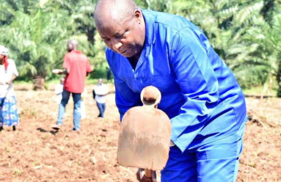 Burundi : Le Chef de l’État aux travaux champêtres à Bubanza