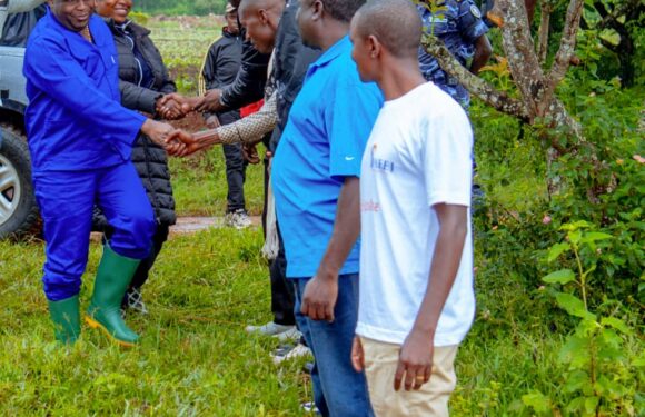 La jeunesse burundaise répond massivement à la politique agricole du Président Ndayishimiye