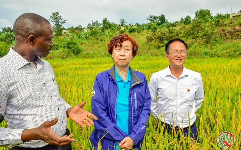 Muyinga: le Ministre en charge de l’agriculture satisfait du travail des experts agronomes chinois