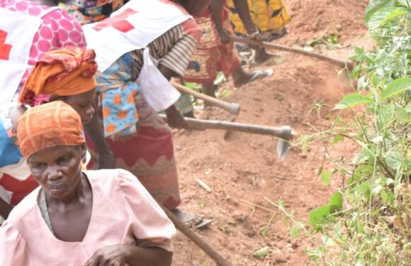 Burundi : TDC – Campagne pour éliminer les ravines à Bubanza.