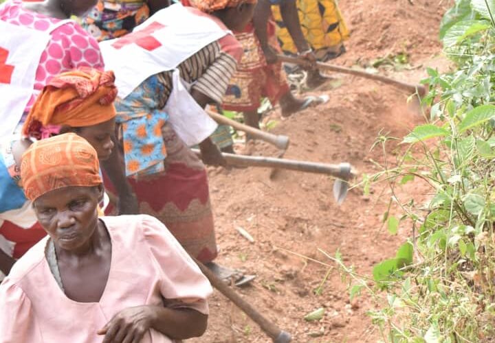 Burundi : TDC – Campagne pour éliminer les ravines à Bubanza.