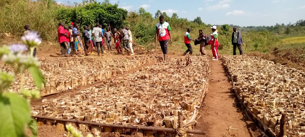 Burundi :  Le CNDD-FDD visite des plantations d’avocats à Kirundo.