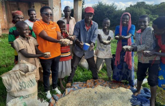 Burundi : Formation agricole et soutien par l’ONGe américaine World Vision.