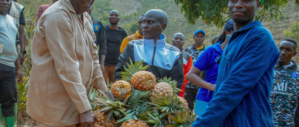 Burundi : Le Président Ndayishimiye visite une plantation d’ananas à Rutana.