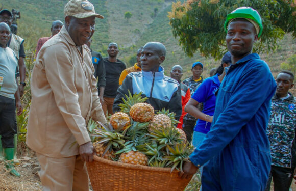 Burundi : Le Président Ndayishimiye visite une plantation d’ananas à Rutana.