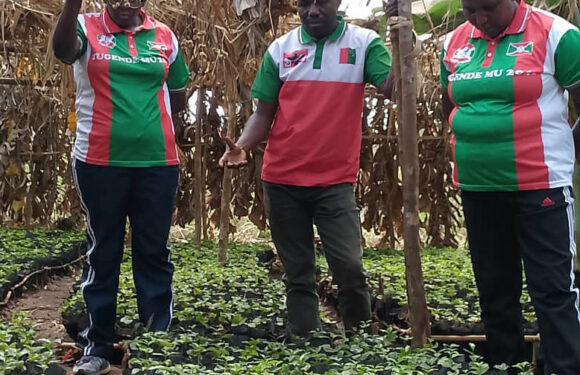 Burundi : Le CNDD-FDD Burunga visite les pépinières agricoles à Ruhere, Makamba.