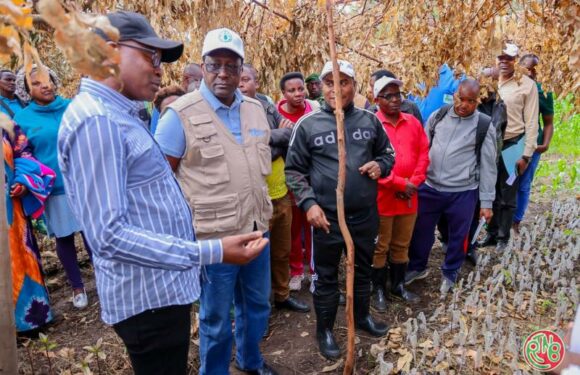 Kayanza: lancement de la semaine dédiée à l’alimentation