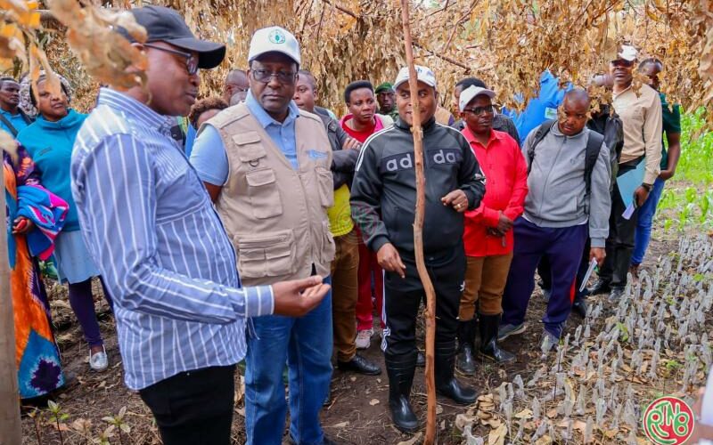 Kayanza: lancement de la semaine dédiée à l’alimentation