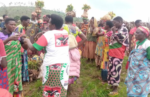 Burundi : 3.500 avocatiers plantés par le CNDD-FDD à Marangara, Ngozi.