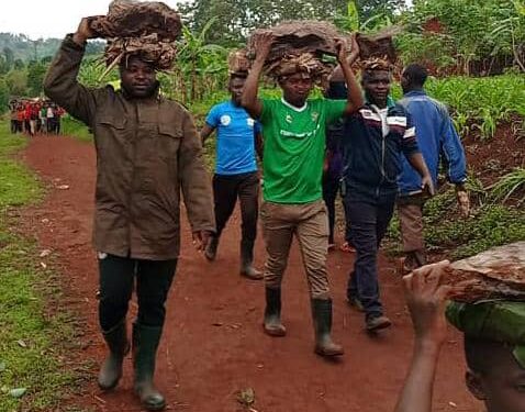 Burundi : Le CNDD-FDD Karusi aide un ancien combattant à Nyagoba.