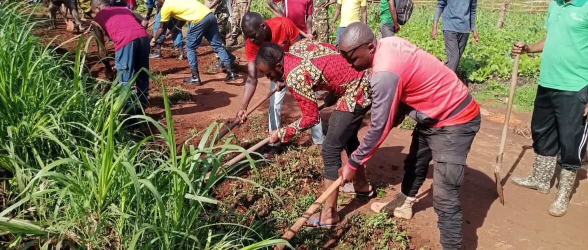 Burundi : Travaux communautaires en colline Rutana, route dégagée par citoyens.