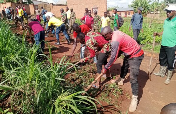 Burundi : Travaux communautaires en colline Rutana, route dégagée par citoyens.