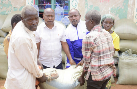 Burundi : 732 ménages soutenus face aux aléas climatiques à Busoni, Kirundo.