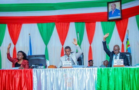 Burundi : Le Sénat adopte une loi sur les coopératives