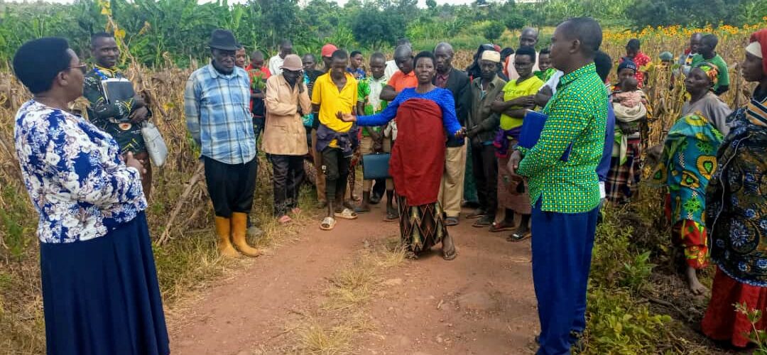 Burundi : One Acre Fund Tubura un soutien pour les agriculteurs à Muyinga, Buhumuza