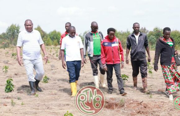 𝐋𝐞 𝗦𝗲𝗰𝗿𝗲́𝘁𝗮𝗶𝗿𝗲 𝗽𝗿𝗼𝘃𝗶𝗻𝗰𝗶𝗮𝗹 𝗱𝘂 𝗖𝗡𝗗𝗗-𝗙𝗗𝗗 𝐞𝐟𝐟𝐞𝐜𝐭𝐮𝐞 𝐮𝐧𝐞 𝐝𝐞𝐬𝐜𝐞𝐧𝐭𝐞 𝗮̀ 𝗡𝘆𝗮𝗯𝗶𝗵𝗮𝗻𝗴𝗮