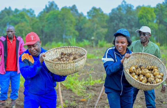 Vision 2040–2060 : le Chef de l’État prêche par l’exemple d’une agriculture au service du développement